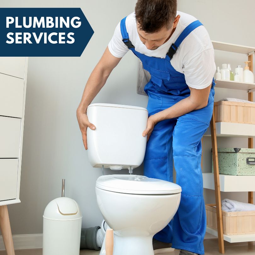 Plumbing Company in Punta Gorda, FL
